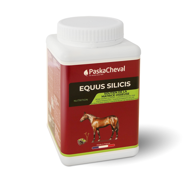 Equus Silicis pferd