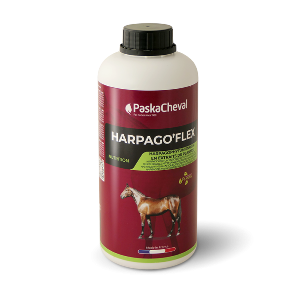 Teufelskralle pferd harpagoflex