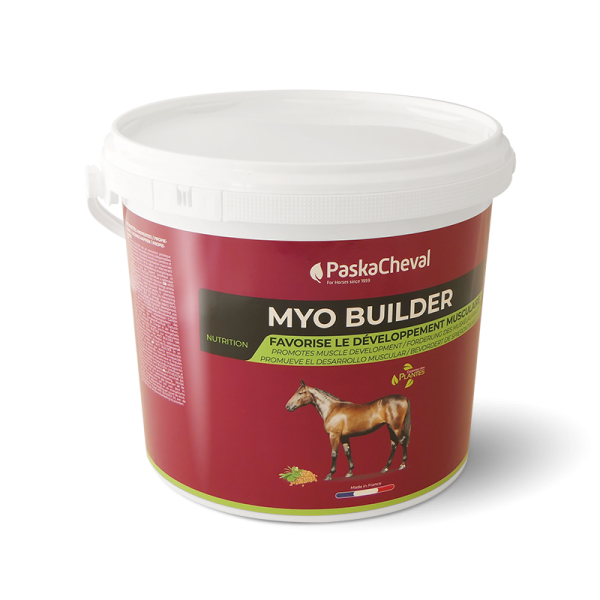 Myobuilder: Muskelaufbau Pferd Zusatzfutter