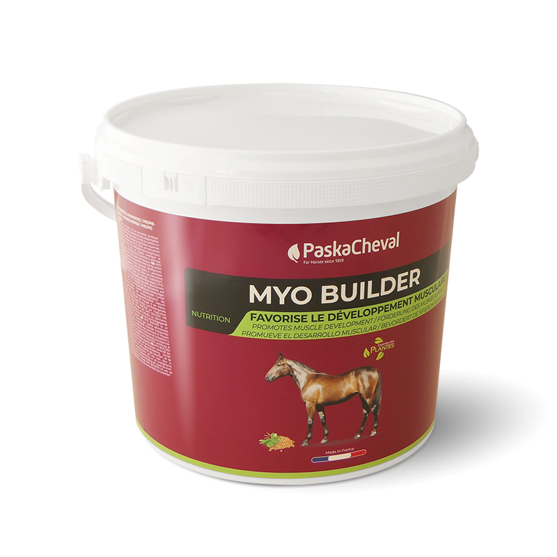 Myobuilder: Muskelaufbau Pferd Zusatzfutter