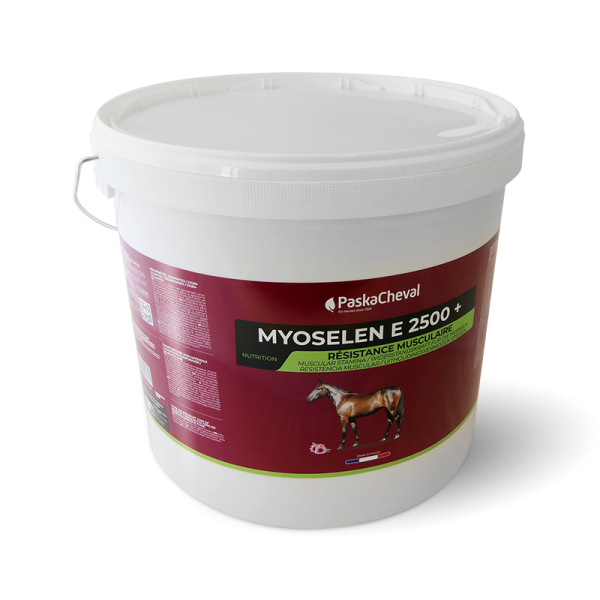 Myoselen+ Widerstandskraft Muskeln pferd