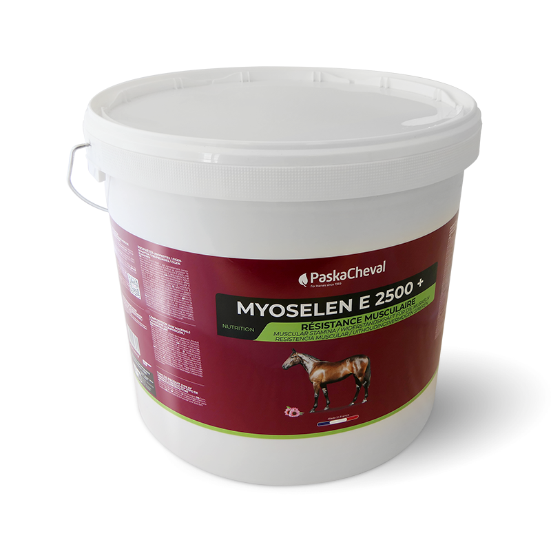 Myoselen+ Widerstandskraft Muskeln pferd