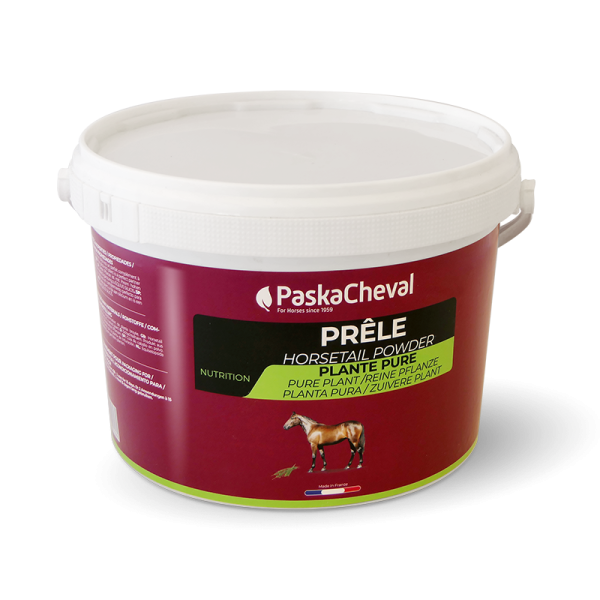 Prele: Gelenke und Sehnen pferd