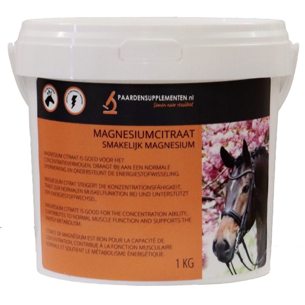 Magnesium Pferd