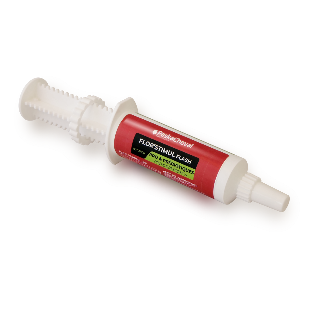 Probiotika Spritze pferd